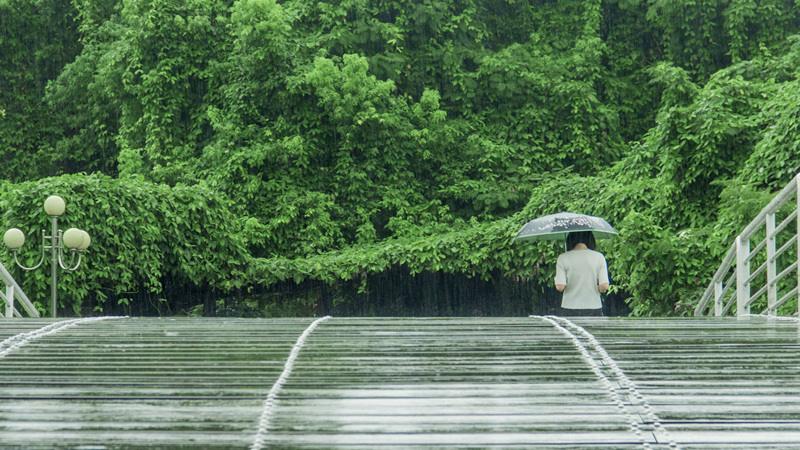 细雨
